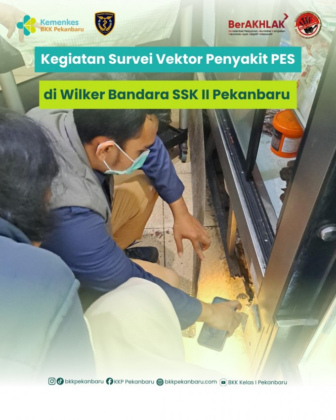 Survei Vektor Penyakit PES di Wilayah Kerja Bandara Sultan Syarif Kasim II Pekanbaru