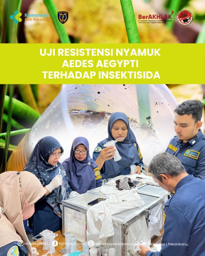 Tim BKK Kelas I Pekanbaru melakukan pengumpulan jentik nyamuk di berbagai titik Wilayah Kerja, sebagai bagian dari kegiatan Uji Resistensi Insektisida.
